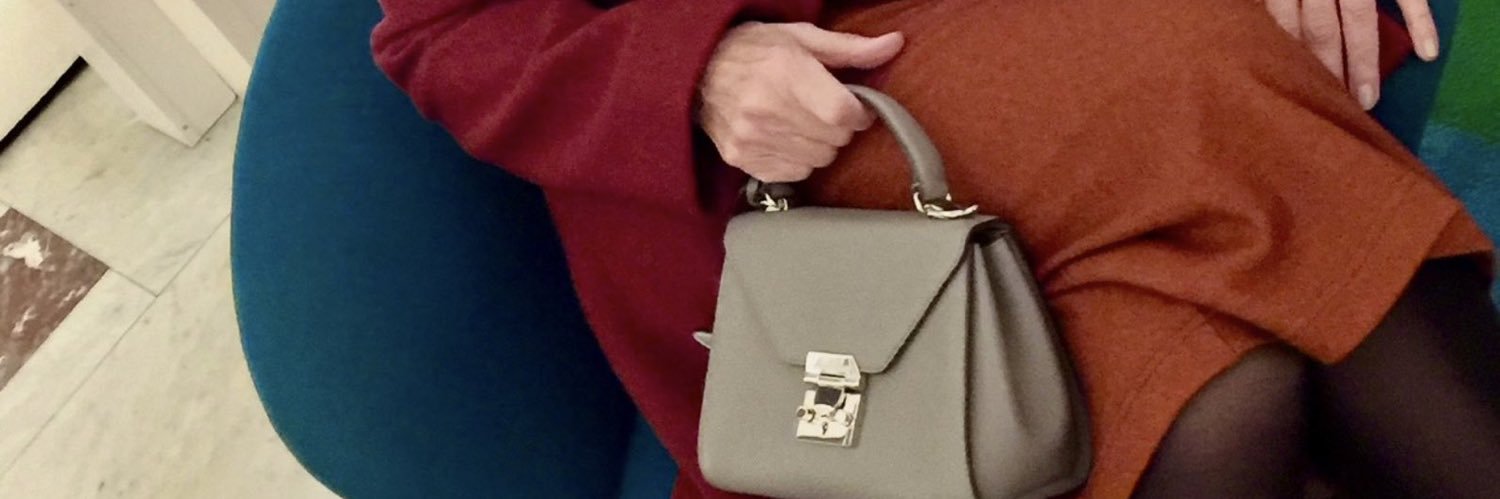 Maye Musk back up banner