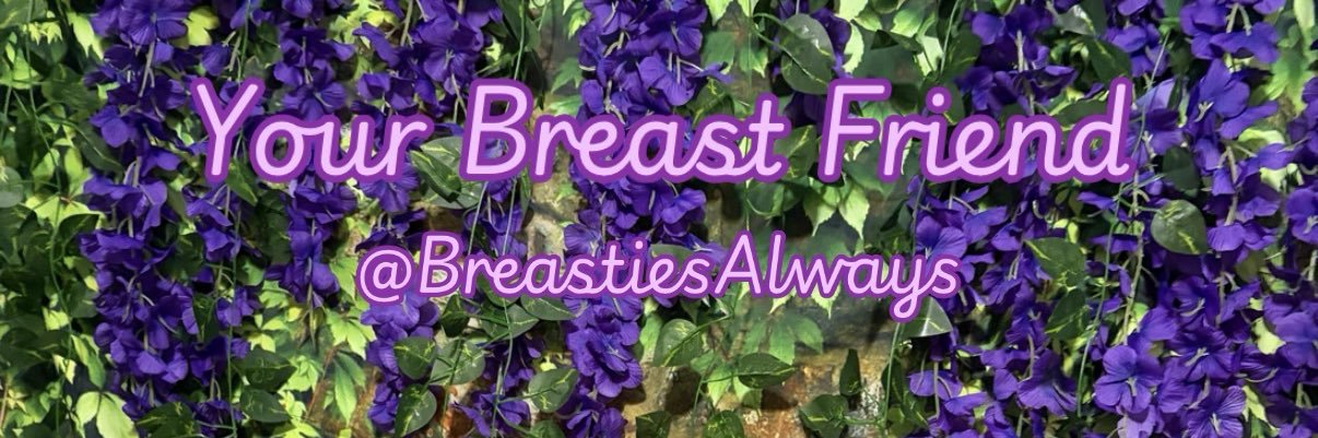 Your Breast Friend banner
