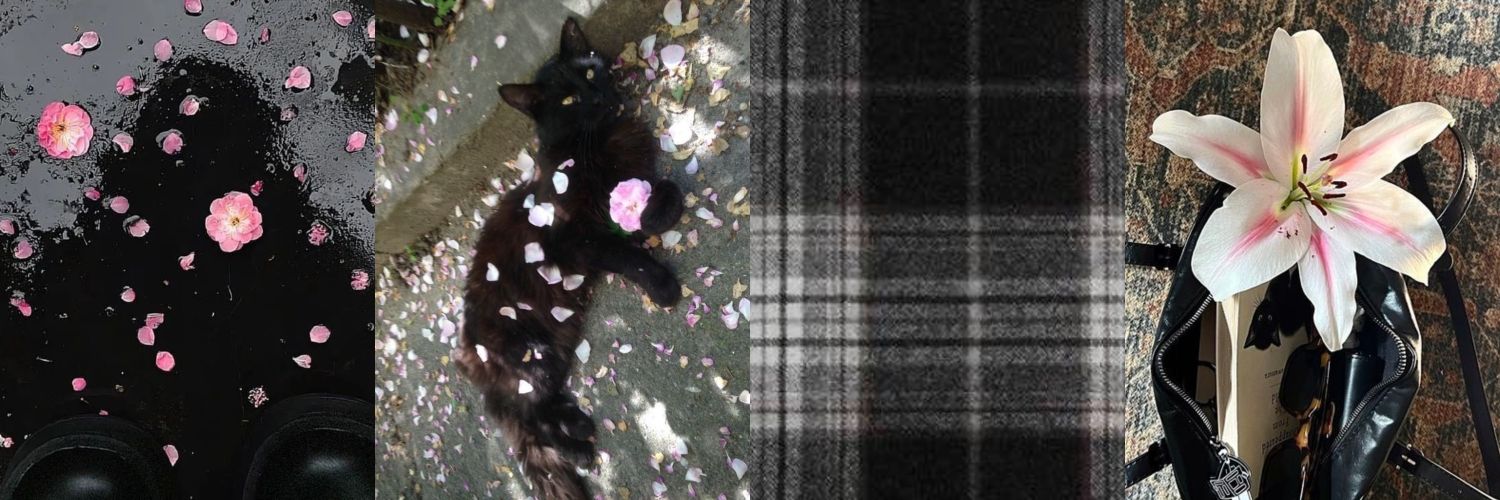 ⋆ banner