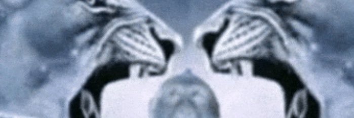 tt06tr's profile banner image
