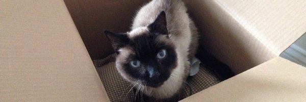 cantnot Profile Banner