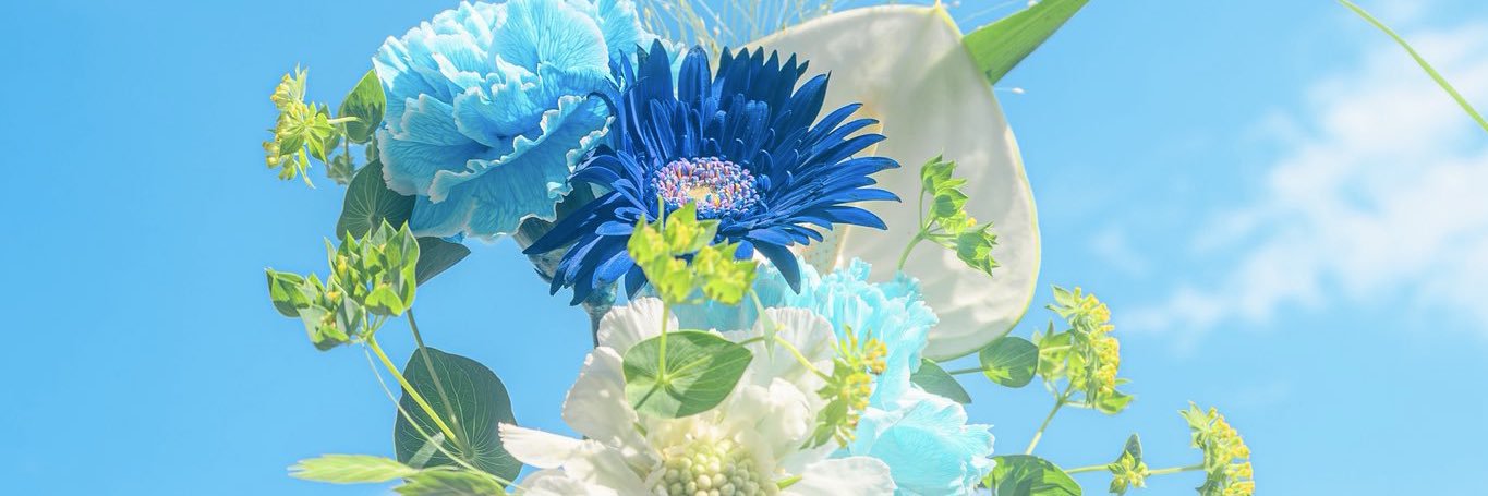 sasa banner