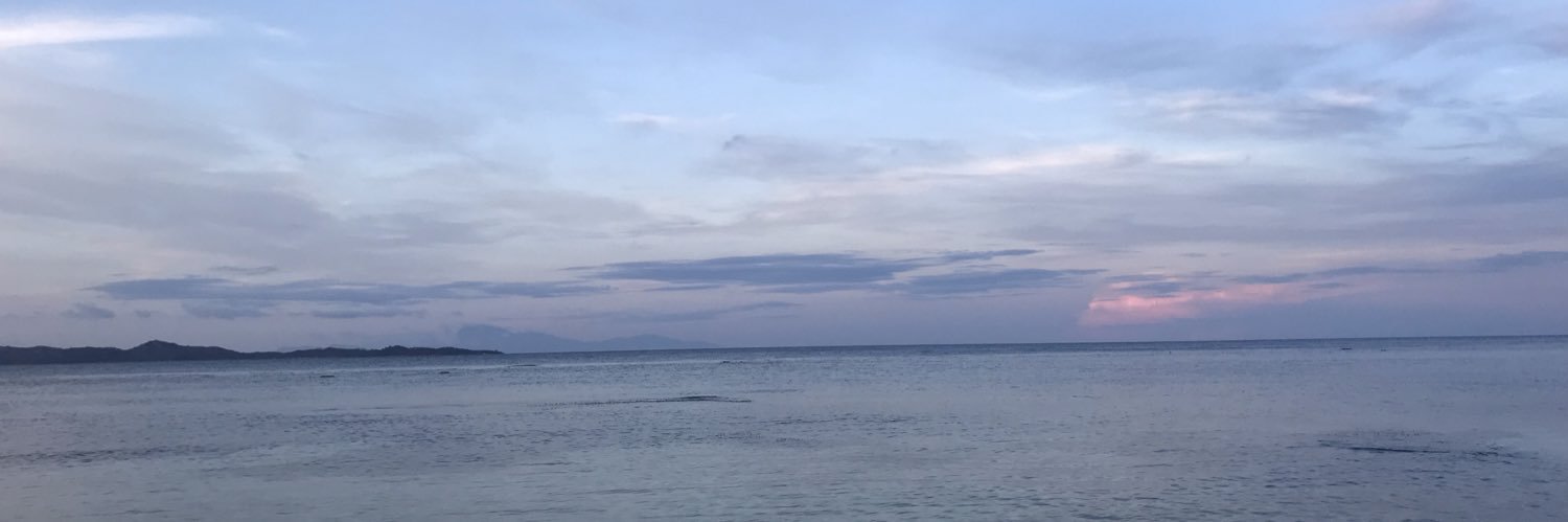 somehao's profile banner image