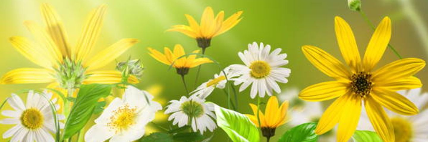 louisem27's profile banner image