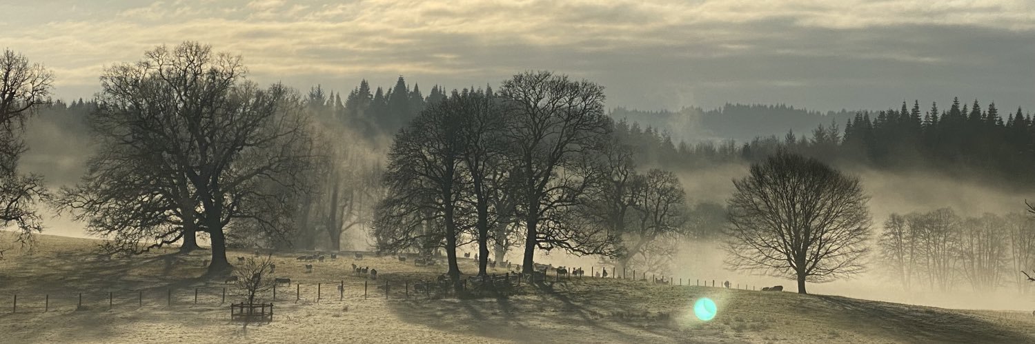 Jimmy McIntosh banner