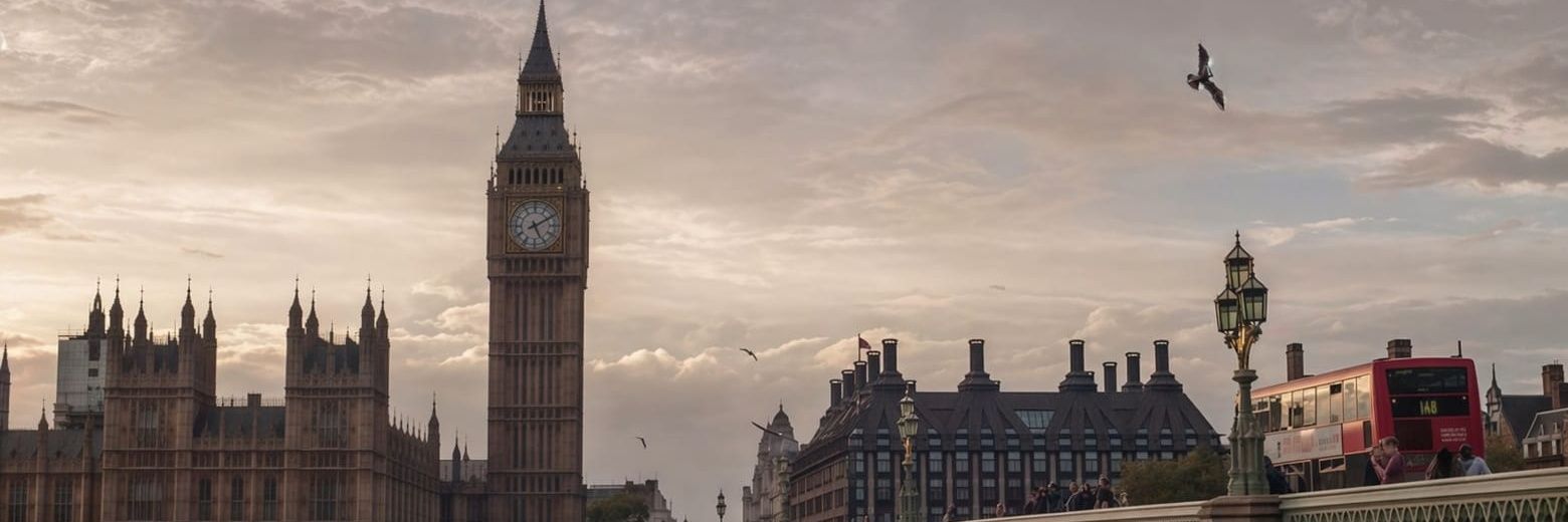 ℒiyyloo 27' banner