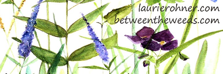 laurierohner's profile banner image