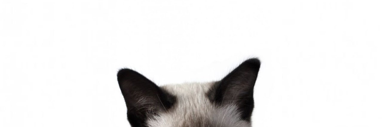 minamooo______'s profile banner image