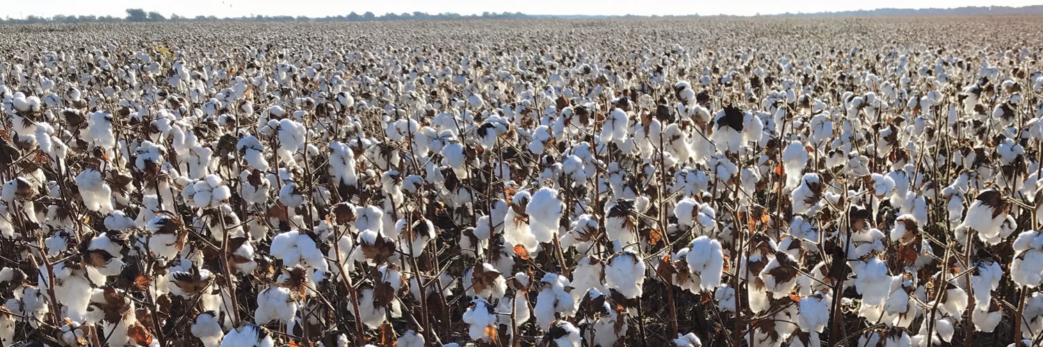 Tina Gray Teague, PhD banner