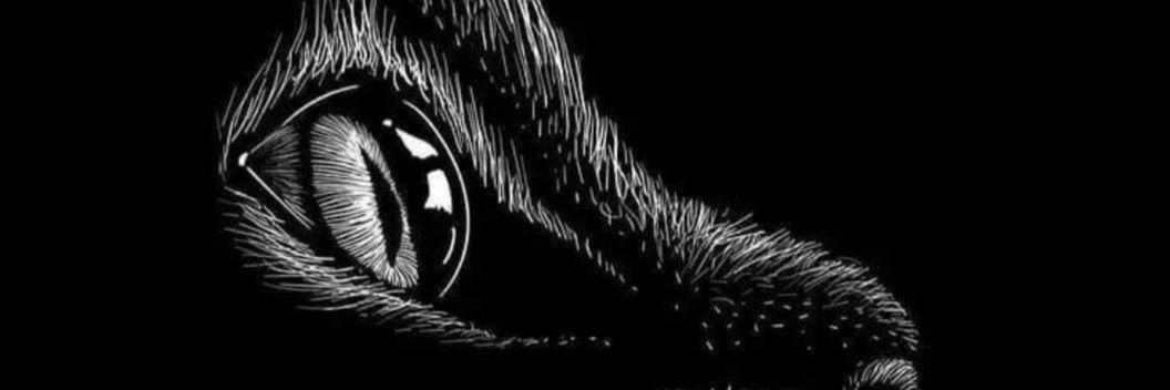 deyeuuh's profile banner image