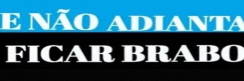 🐒 🇪🇪 banner