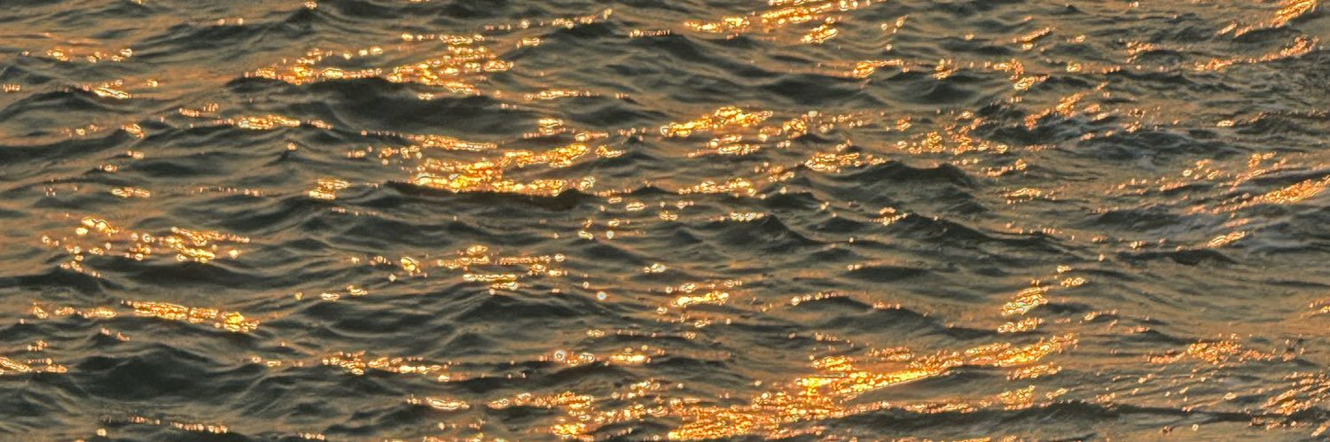 ˗ˏˋ 𝙬𝙞𝙨𝙖𝙮𝙖 : วิศญา • ˎˊ˗ banner