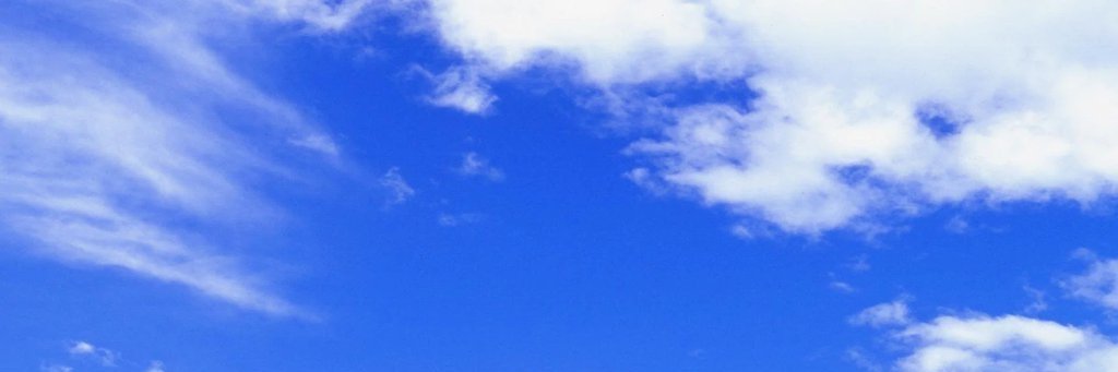 Teo banner