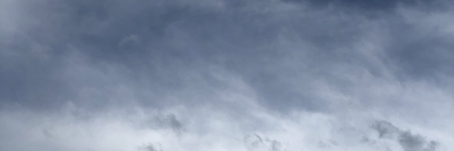 dianeifnt's profile banner image
