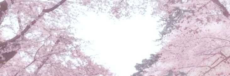 히메미 banner