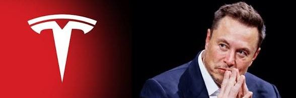 Elon Debates banner