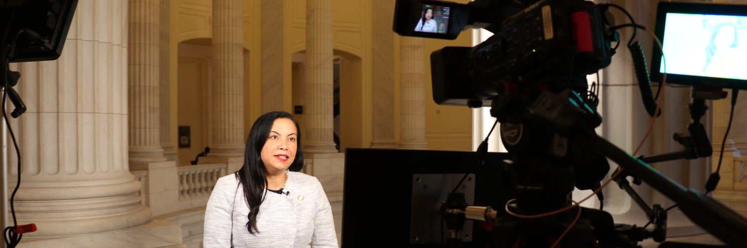 Congresswoman Analilia Mejia banner