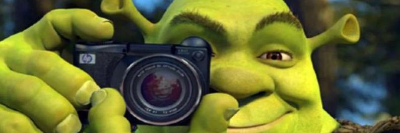 Maddy Weeks 🍉 banner