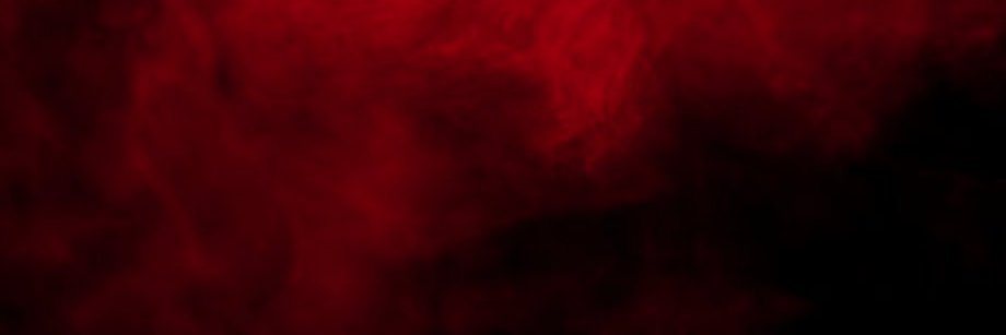 dirt dog banner