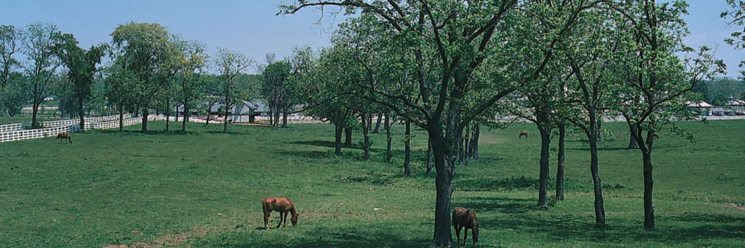 Dan Albertson banner