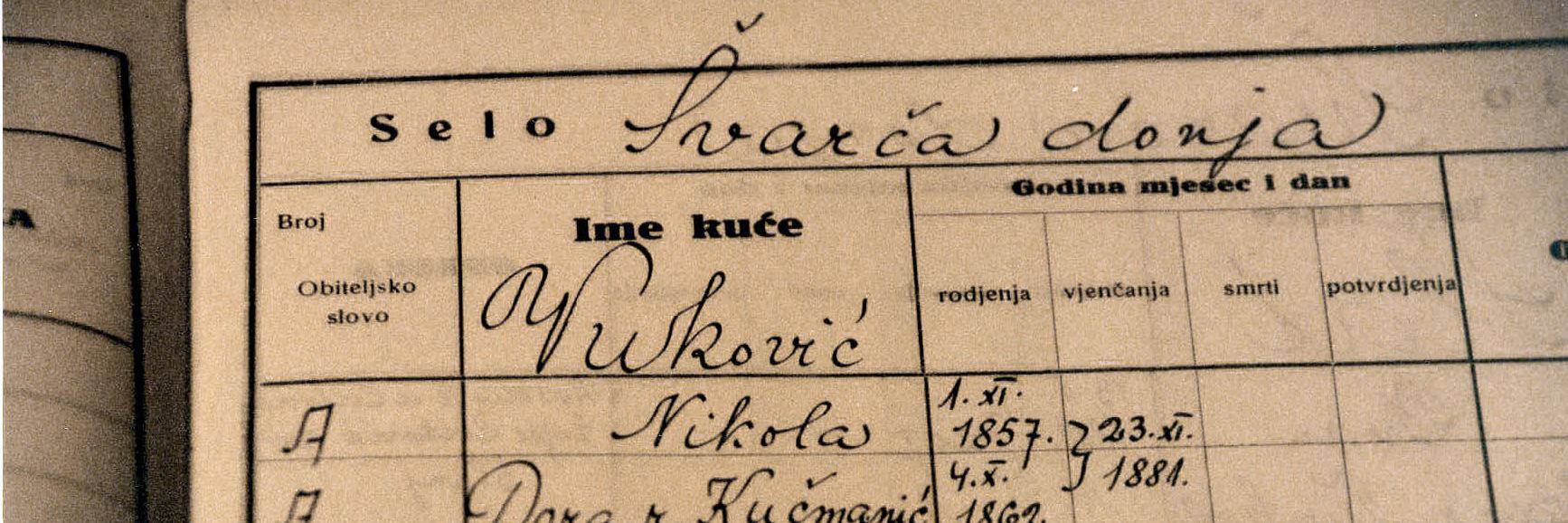 Kristin Vukovic banner