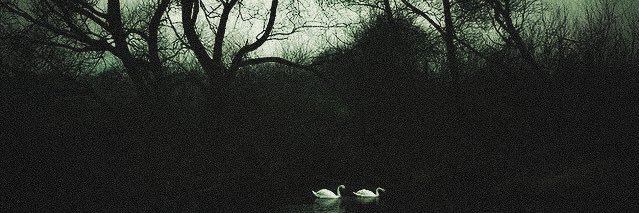 ⋆. 𐙚˚࿔ 𝑒𝓁𝒾𝓃 𝜗𝜚˚⋆ banner