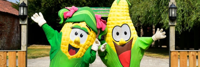 Yorkmaze's profile banner image