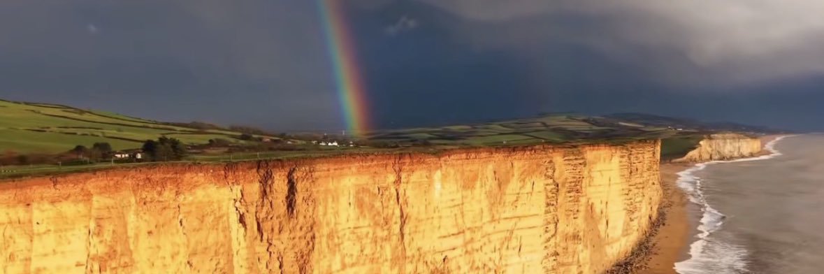 deb 🦊🖖🧡🌹 banner