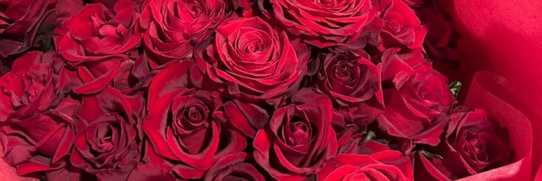 はみ@初回ツイフィ必読 banner