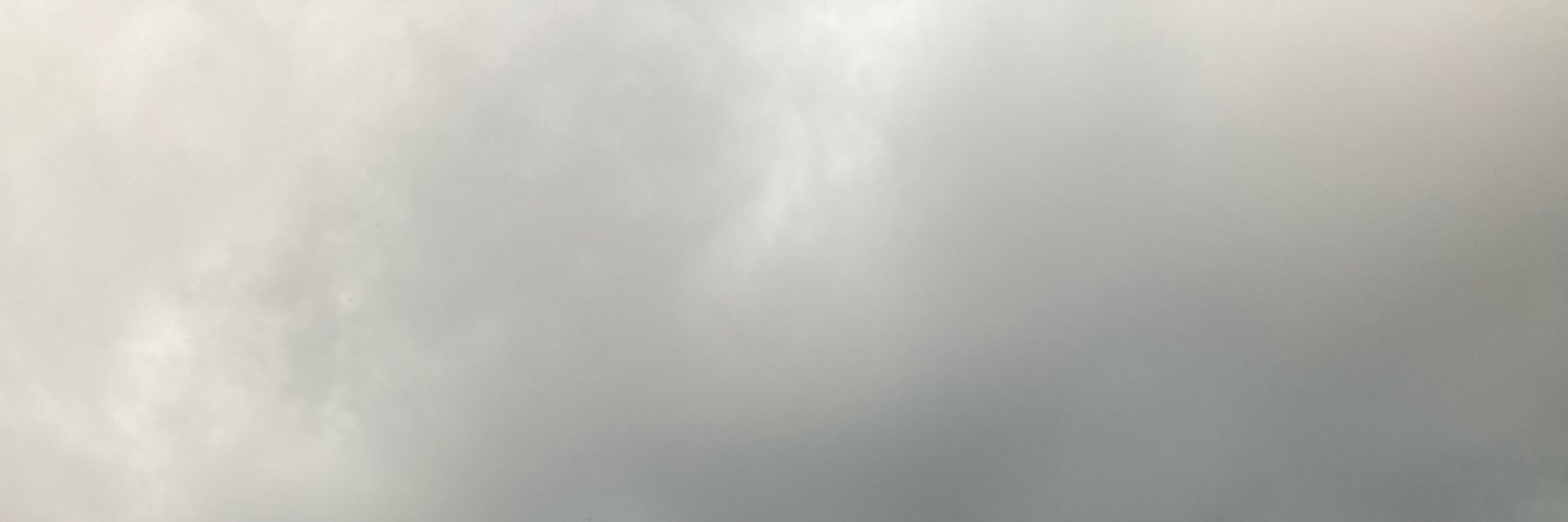 Iris banner