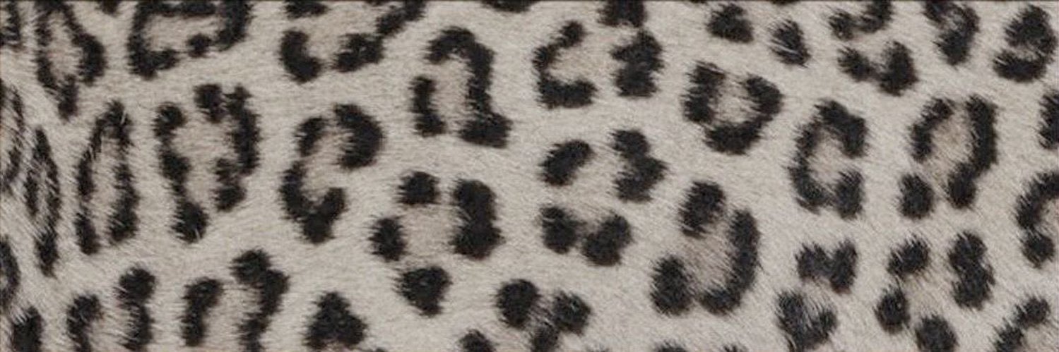 GIA ! banner