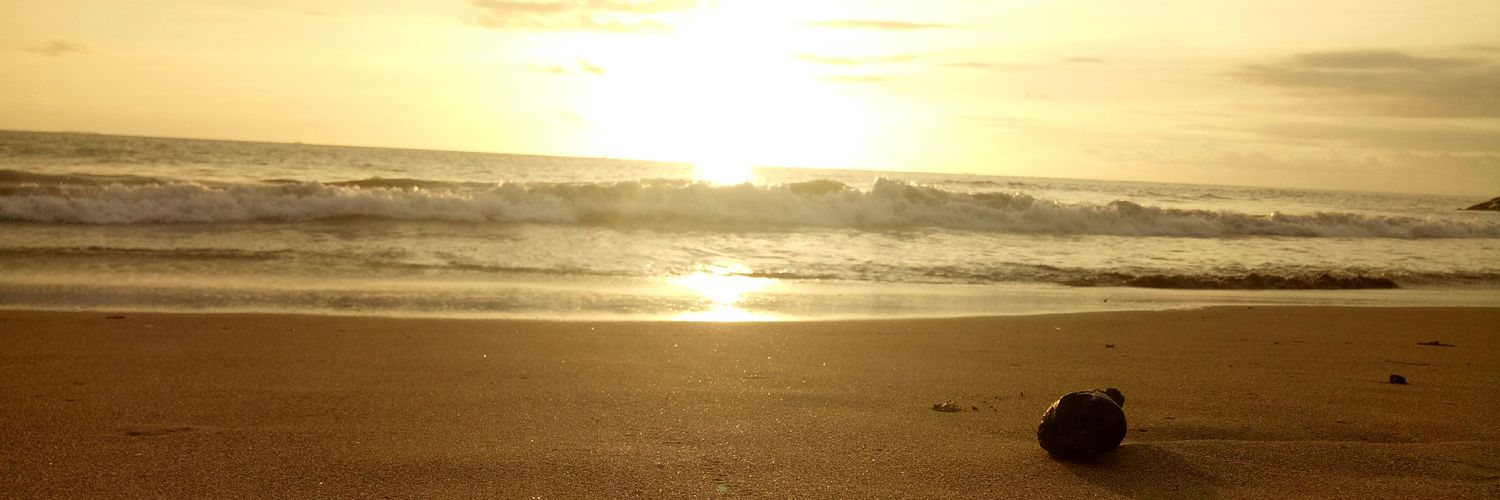 abank_triesno's profile banner image