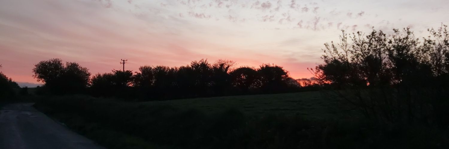 Orla O'Sullivan banner