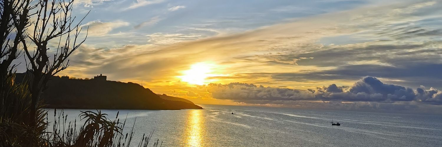 BettyPaton's profile banner image