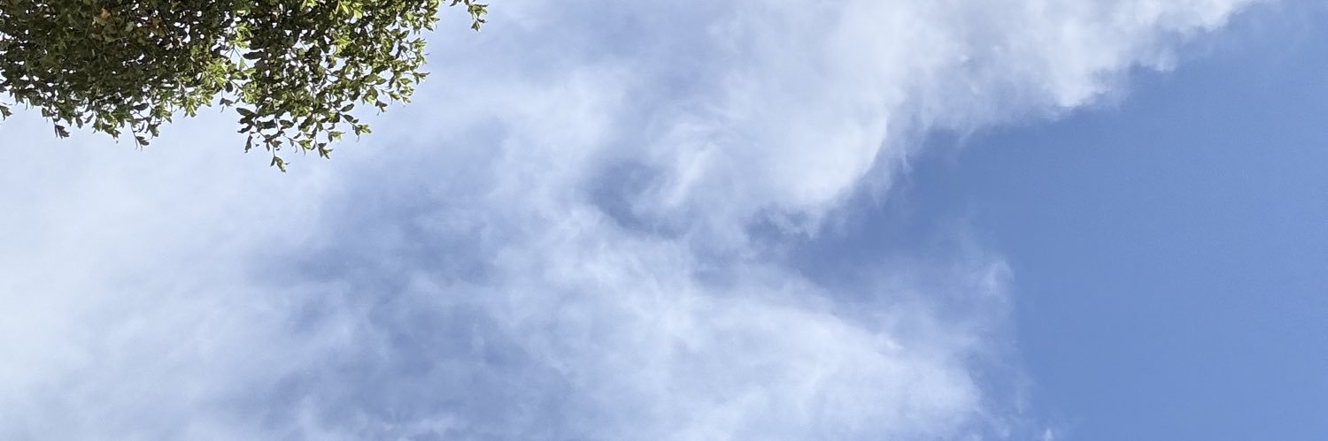 Alex banner