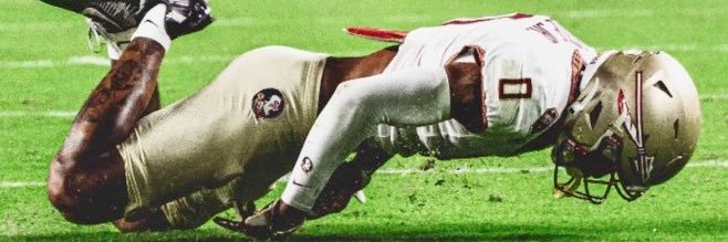 Rancid Ray 🇺🇸 banner