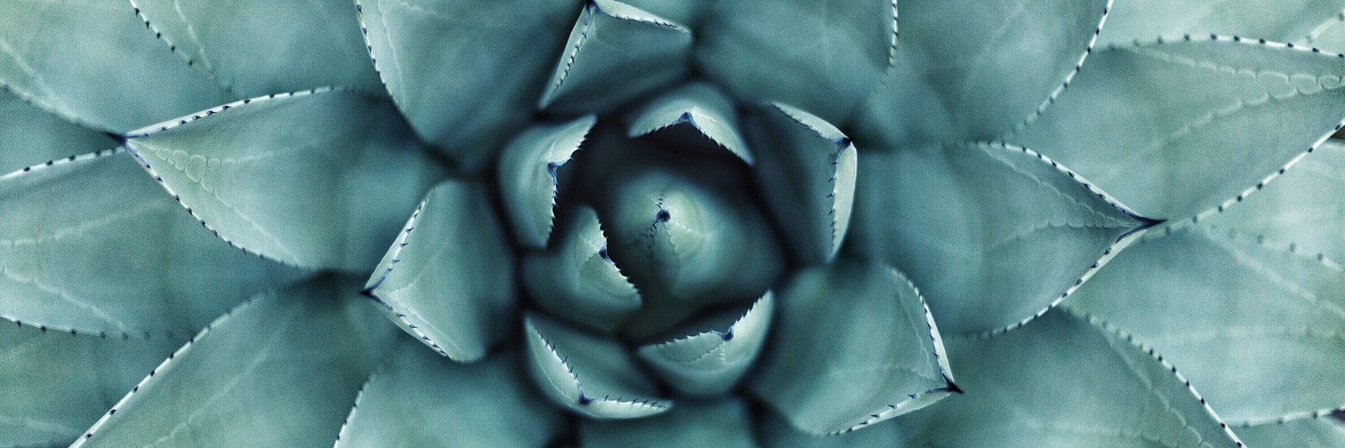 tanbark's profile banner image