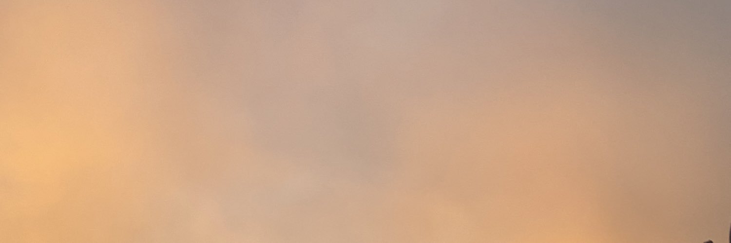 ʕ•ᴥ•ʔ ★ banner