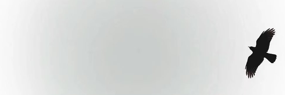 Fcghnrh17's profile banner image