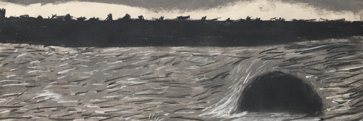 Jane Fox Anderson banner