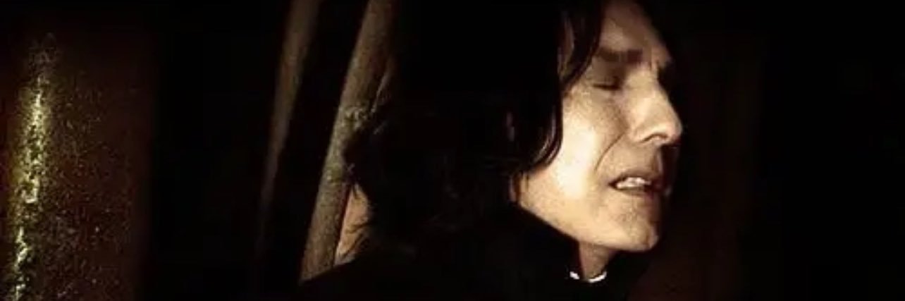 Snape banner