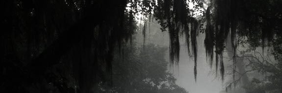 彦 banner