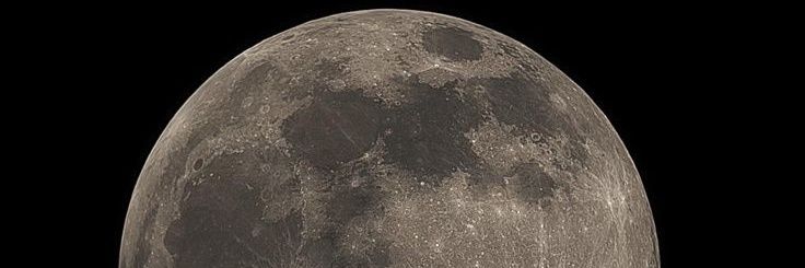 nadiverse's profile banner image