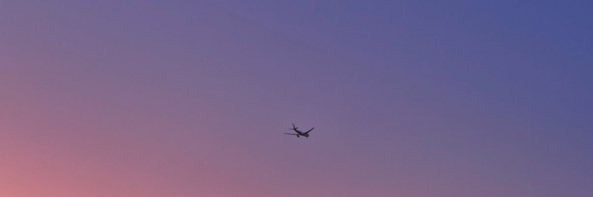 南無阿彌多婆耶 banner