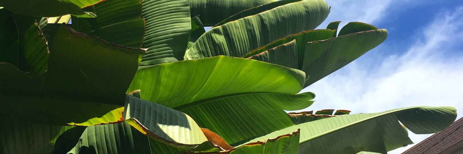 martharling's profile banner image