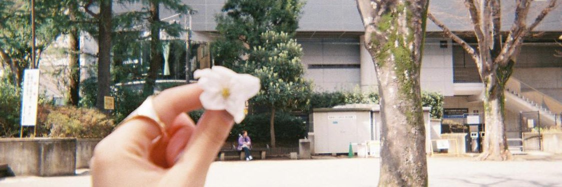 す！② banner
