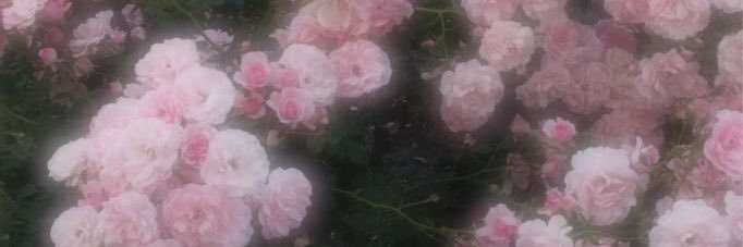 pi50w6's profile banner image