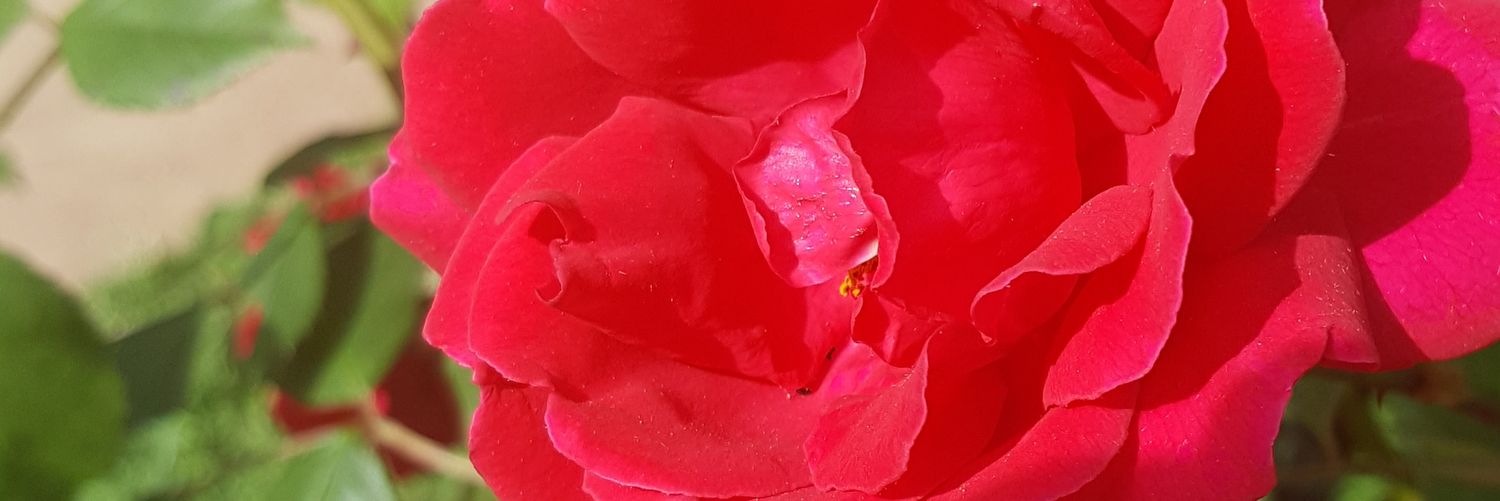 l0li69's profile banner image