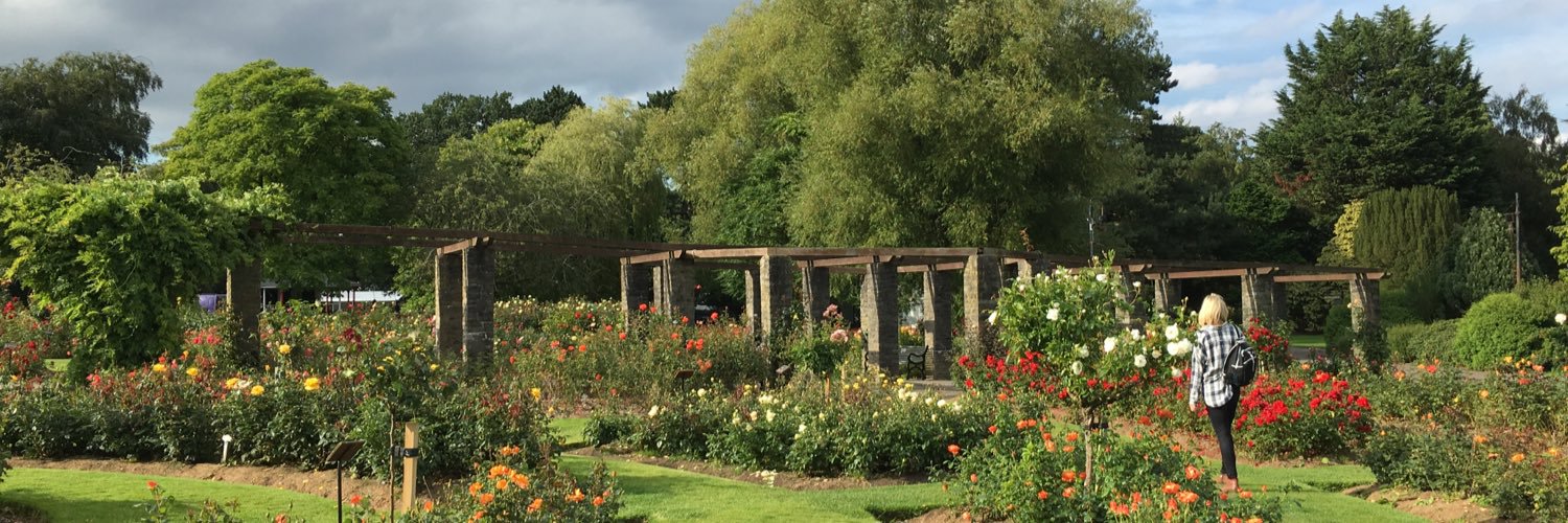 Brandyn Campbell banner