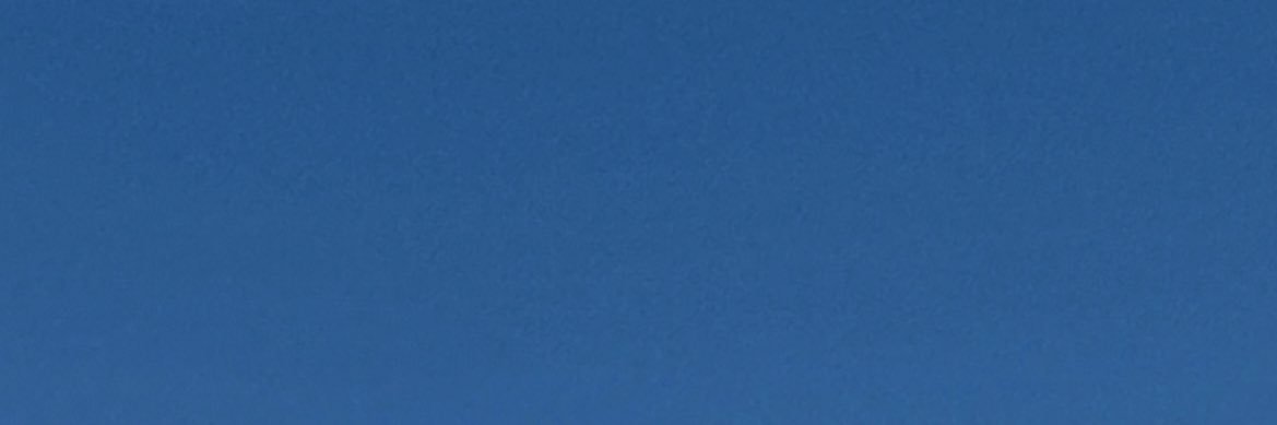 りん banner